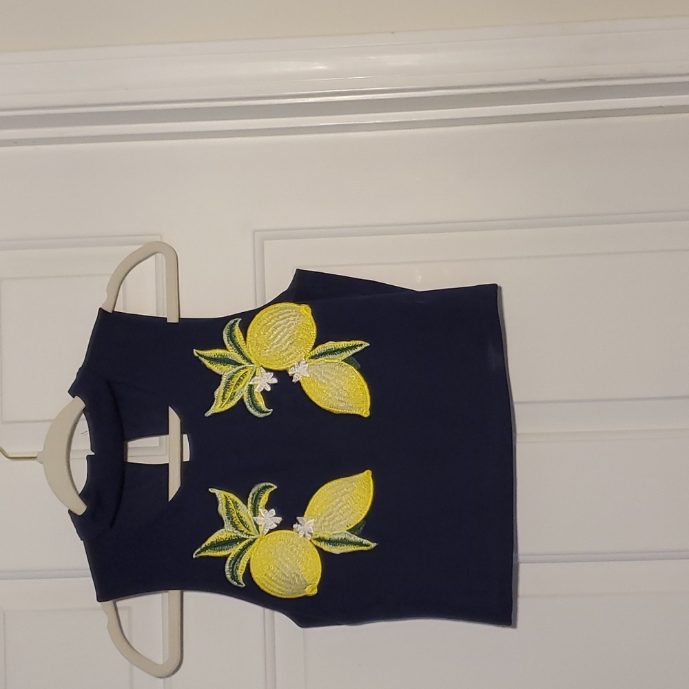 17"long, 15"wide at waist.16"wide at chest.